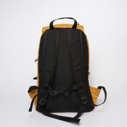 Рюкзак Citypack m золотой