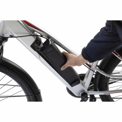 Электровелосипед WHITE SIBERIA CAMRY LIGHT