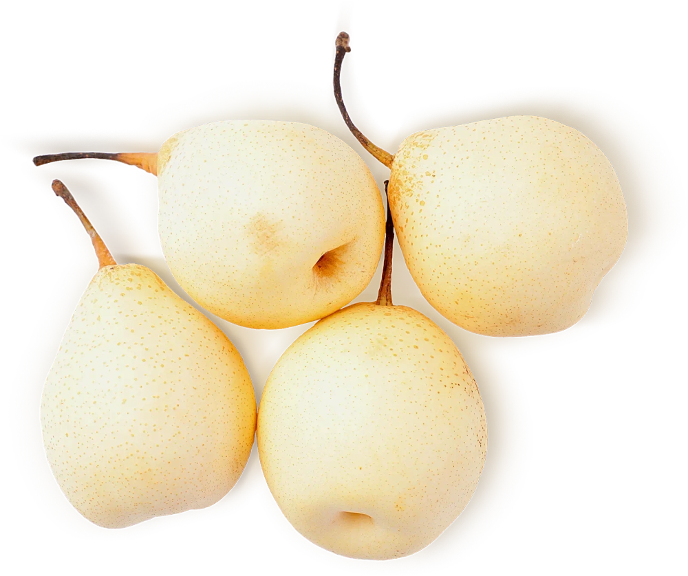 Груши Китайские