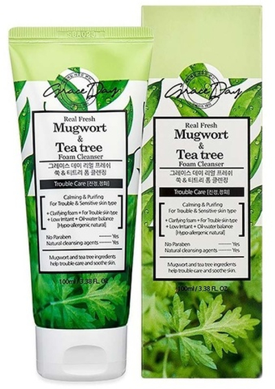 Grace Day Освеж.пенка д/умывания с полынью и чайным деревом 100 мл.