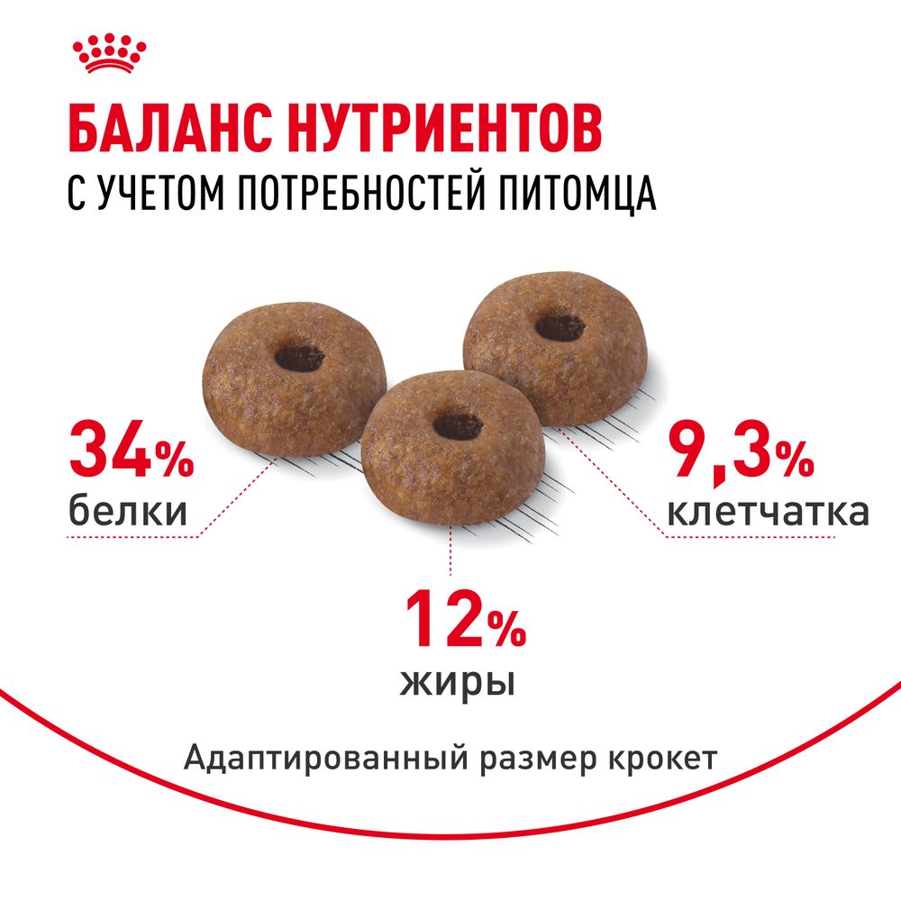 Сухой корм Royal Canin Appetite Control Care для взрослых кошек — для контроля выпрашивания корма Сухой корм Royal Canin Appetite Control Care для взрослых кошек — для контроля выпрашивания корма