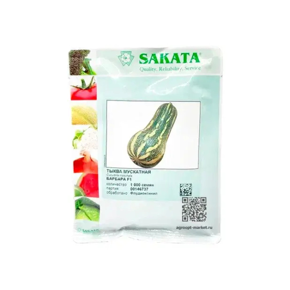 Барбара F1 семена тыквы (Sakata / Саката) – фото 3