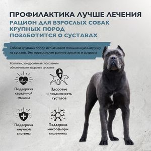 Сухой корм Brit Care Dog для взрослых собак крупных пород, с индейкой и уткой, Поддержка суставов