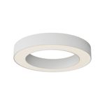 Потолочный светильник Technical C093CL-36W3K-W