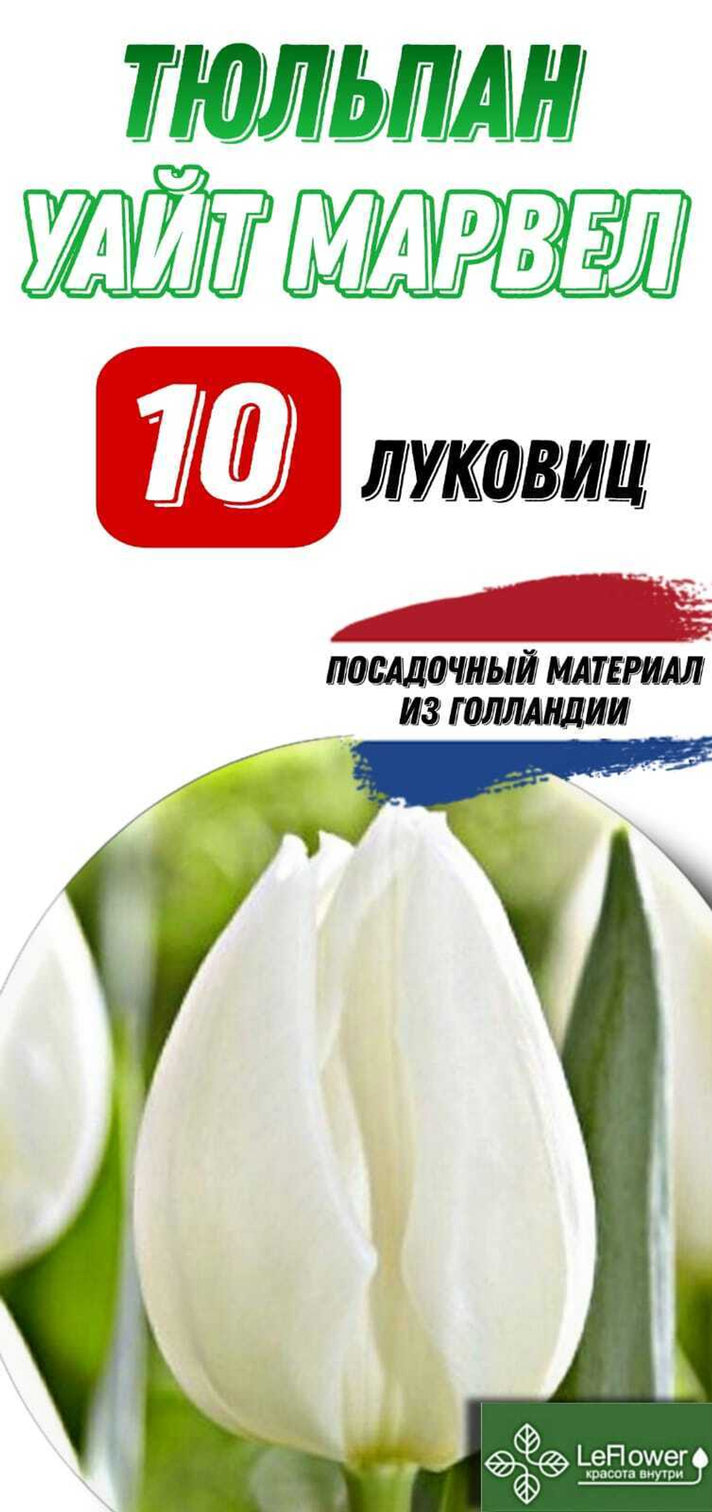 Тюльпан Луковица, Уайт Марвел, 10шт