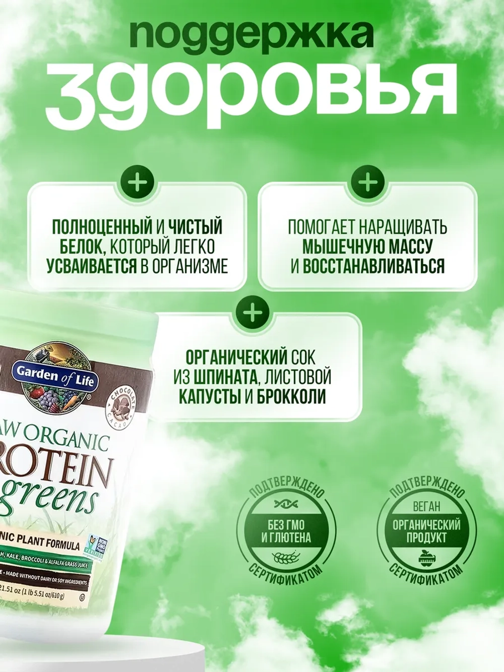 RAW Organic Растительный протеин шоколад 610 г