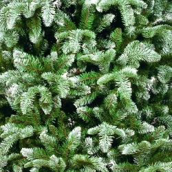 Елка Нормандия утонченная заснеженная 185 см., литая хвоя+пвх, Triumph Tree (73855)