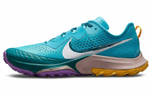 Кроссовки Nike Air Zoom Terra Kiger 7