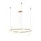 Подвесной светодиодный светильник Maytoni Oasis MOD289PL-L44BS3K