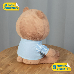 Мягкая игрушка плюшевый Медведь подарок для девочки мальчика