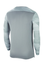 Вратарская кофта Nike Dry Park IV LS GK Детская