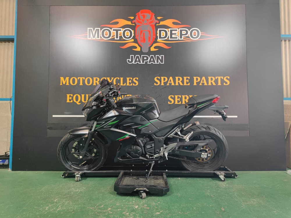 Kawasaki Z250 2013