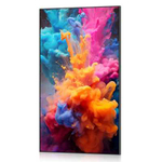 Профессиональный дисплей Exell EXPD-DA55AM5