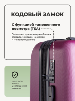 Набор S/L ручная кладь и большой Винный