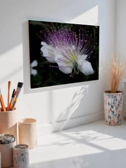Картина на стену 40 X 50 Цветок