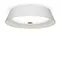 Потолочный светильник FR10013CL-L24W Элементы 24 Вт LED Freya fr10013cl-l24w
