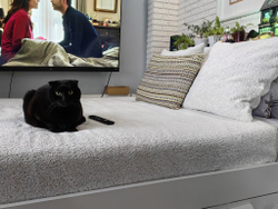 Текстильный комплект покрывало и подушки Альпака