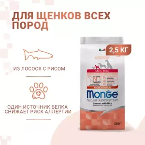 Сухой корм Monge Dog Speciality Line Monoprotein для щенков мелких пород, из лосося с рисом