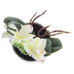 GAEM Цветочная композиция "Орхидея", L13 W12 H29 см