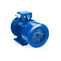 Электродвигатель ESQ 200 L4-SDN- 30/1500 IMB35