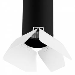 Накладной светильник Lightstar Rullo 3 R437436