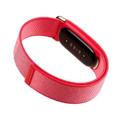 Фитнес-браслет Google Fitbit Air Activity Tracker (Красная ягода)