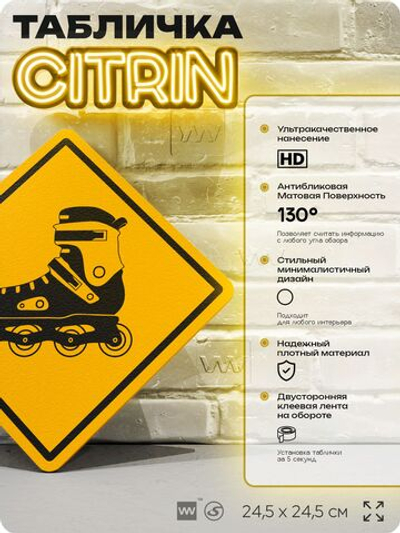 Табличка декоративная "Ролики" на дверь и стену, спортивная, информационная, декоративный знак, 24,5х24,5 см, пластиковая, Айдентика Технолоджи