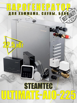 Steamtec TOLO AIO 225 - 22,5 кВт парогенератор для хамама и турецкой бани / Серия Premium