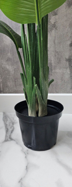 Стрелиция 150 см без кашпо / Арт 3081