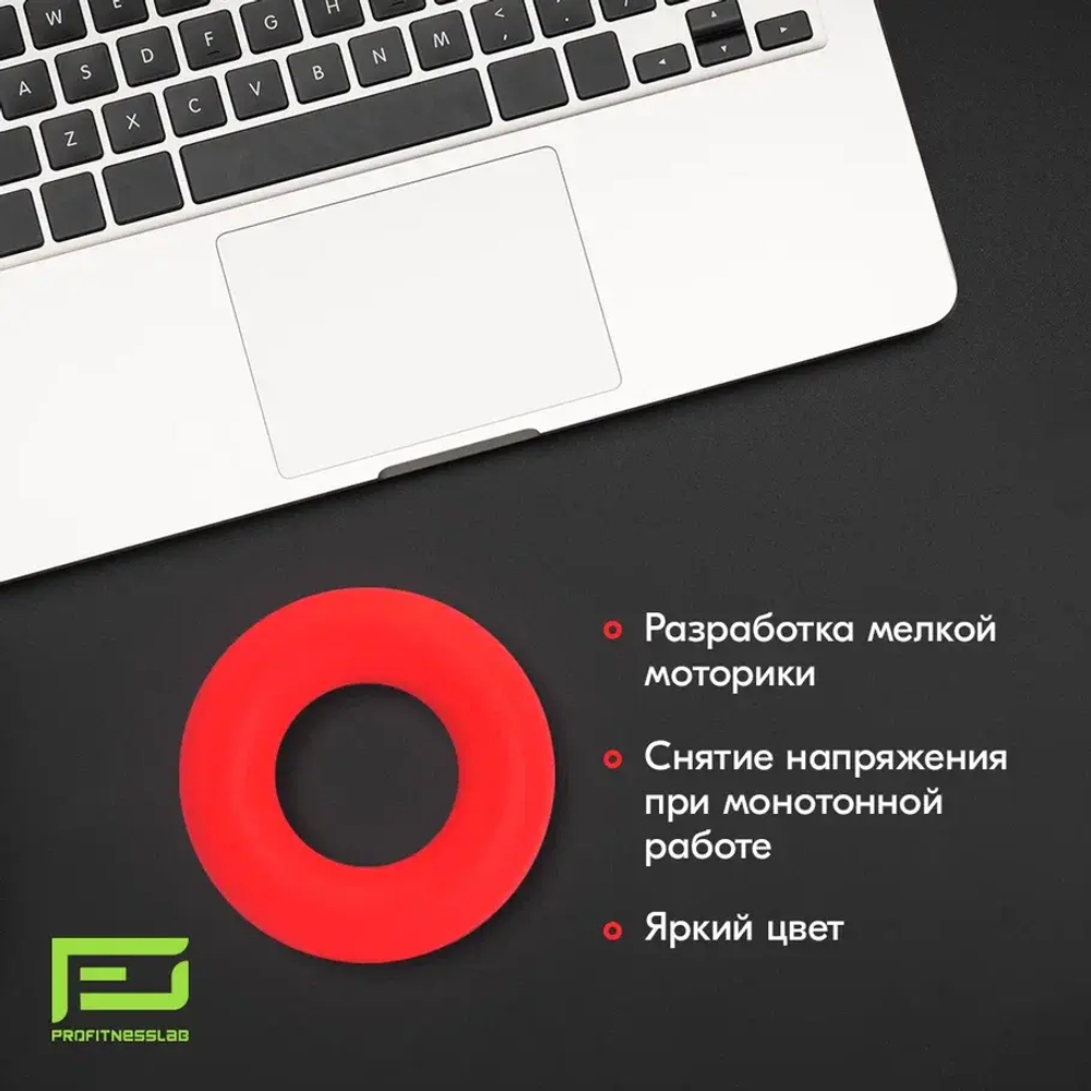 ЭСПАНДЕР КИСТЕВОЙ PROFITNESSLAB 30 КГ