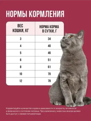 Корм сухой полнорационный BOWL WOW с индейкой и свеклой для стерилизованных кошек