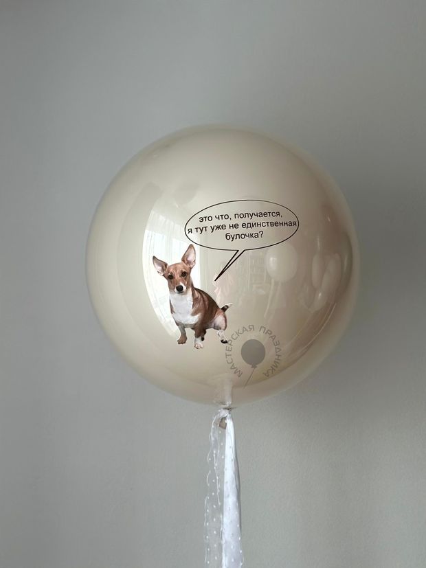 Воздушные шары №9001