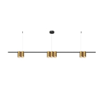 Подвесной светильник Denkirs DK4063-BK+SG