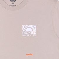  Футболка мужская Dickies Saltville Tee артикул:DK0A4YR9SS01 - купить в магазине Дайс