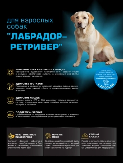 Сухой корм для собак породы Лабрадор-ретривер, лосось, 12 кг