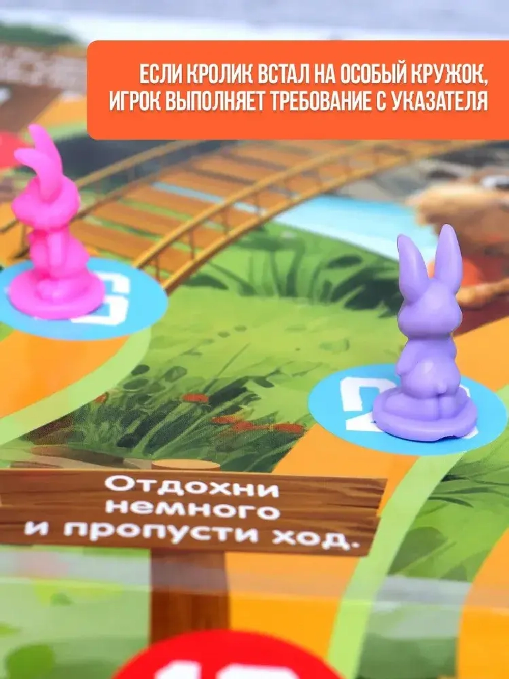 Погоня за морковкой