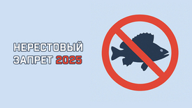 Общие сроки весенне-летних нерестовых запретов в 2025 году в различных федеральных округах России