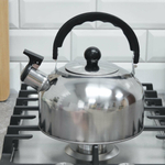 Чайник 2л нерж со свистком тм Bingo