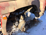 Shacman (Shaanxi) SX* 6x6 Седельный тягач SX42586V385 (Дизельный, 11,6 л, 423 л.с., МТ)