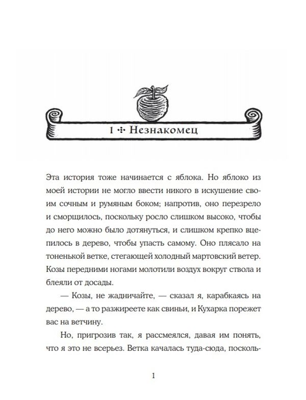 Мальчик и его книга