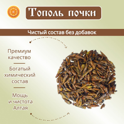 Тополь черный почки.
