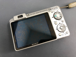 Sony W150