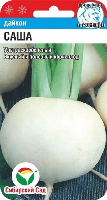 Дайкон