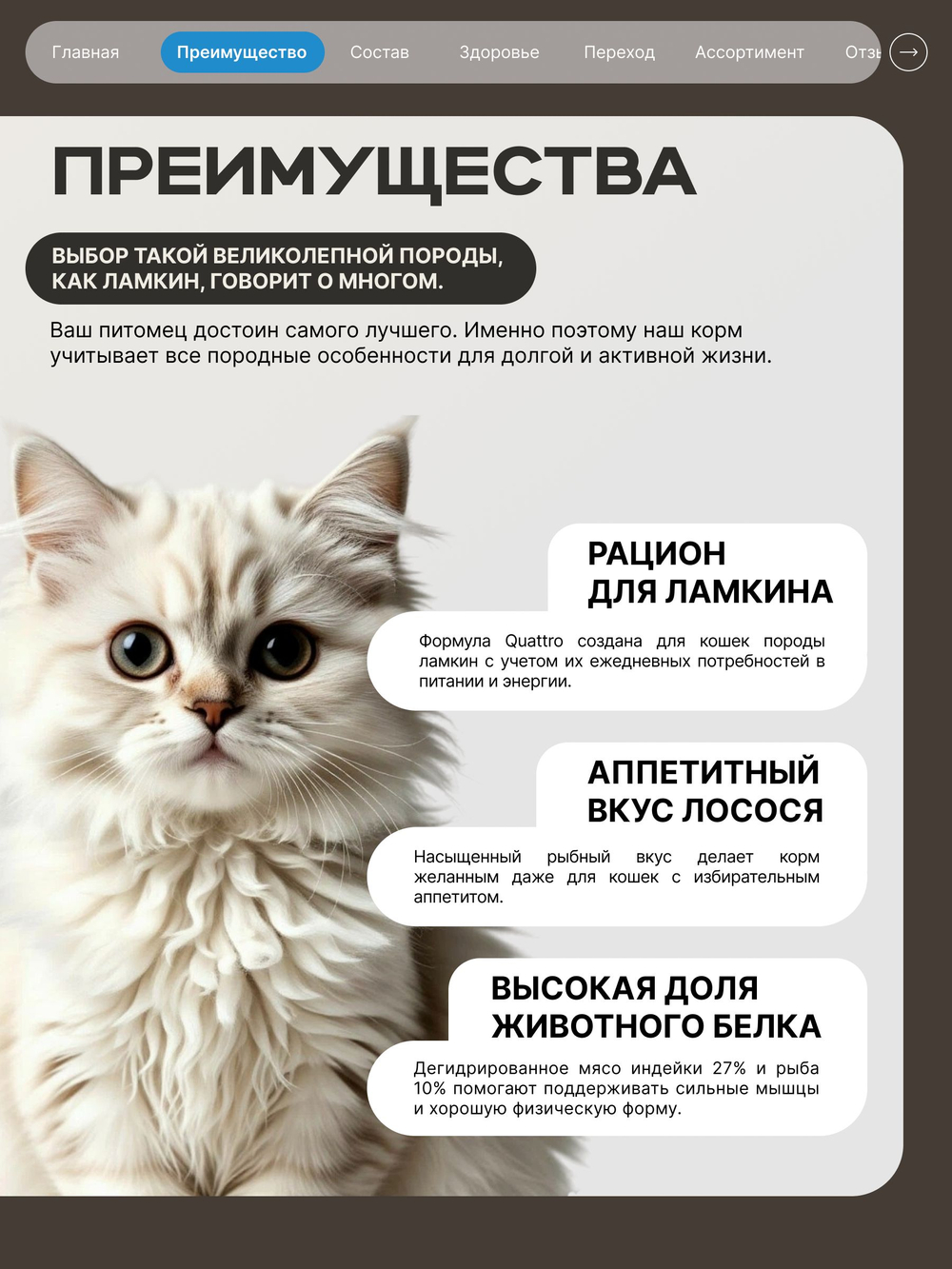 Корм сухой для взрослых кошек породы Ламкин, с лососем, 400 гр, QUATTRO