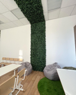 Озеленение панелями из искусственной зелени для экологического класса в одном из учебных заведений г.Ставрополя.