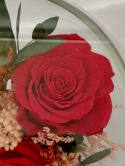 Натуральные розы в стекле, вакуум