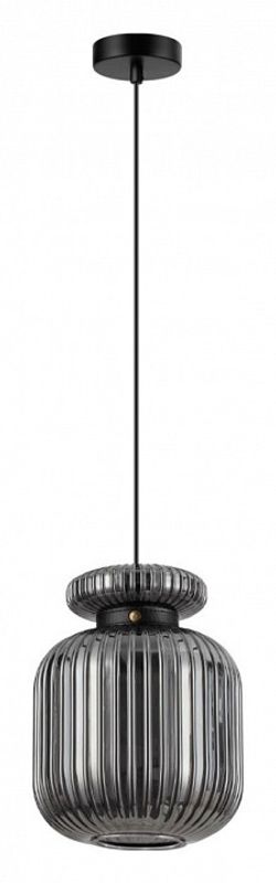 Подвесной светильник Odeon Light Jugi 5042/1B