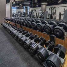 Гантельный ряд POWER (шаг 2,5 кг, 5 пар) PROFI-FIT 27,5-37,5 кг