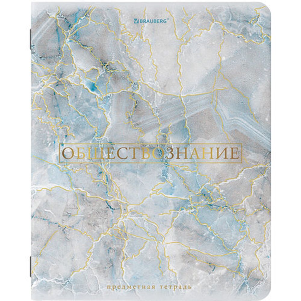 Тетради предметные, КОМПЛЕКТ 10 ПРЕДМЕТОВ, "PASTEL", 48 л., SoftTouch, фольга, 70 г/м2, BRAUBERG, 404031