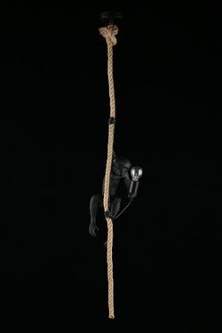 Подвесной светильник Aployt Magali APL.309.16.01